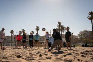 BVT Valencia Training