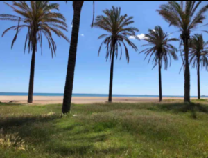 Valencia Beachvolleyball Camps 2027 BVT Villa 